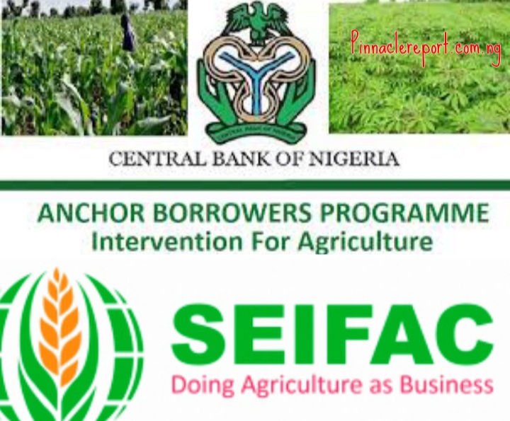 SEIFAC/CBN Anchor Borrowers