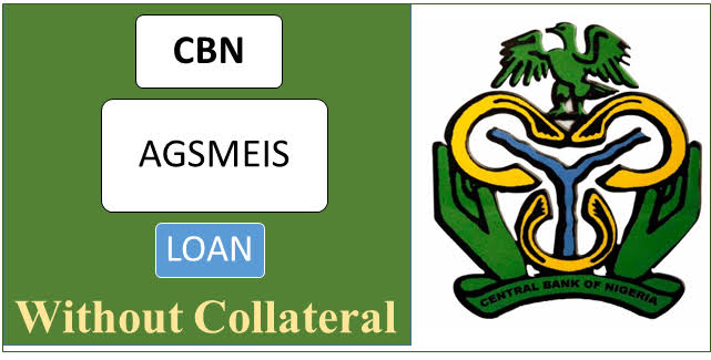 AGSMEIS CBN Loan Application 2021- Apply Registration nirsalmfb.caderp.com/account/landingpage