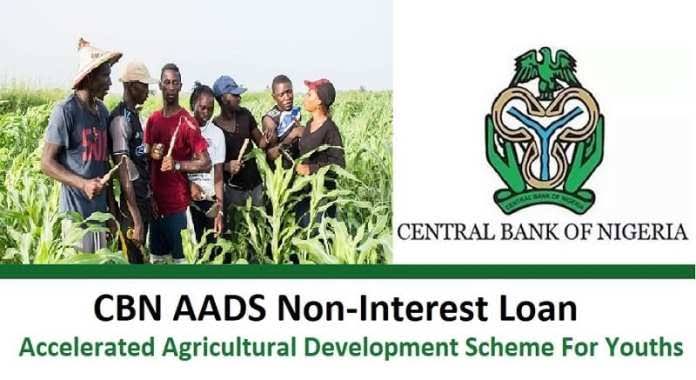 CBN P-AADS Loan