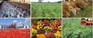 Agricultural produce sellers Association